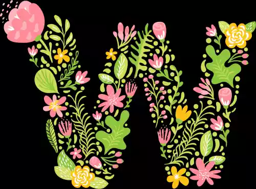 vectores plantilas ALFABETO,FLOR,